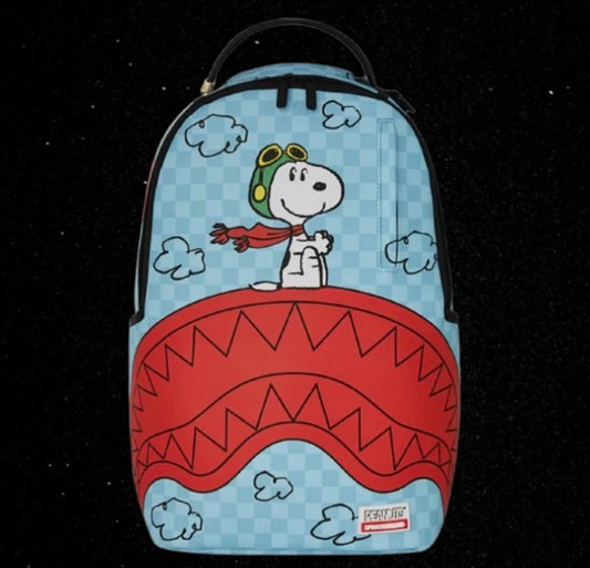 Sprayground